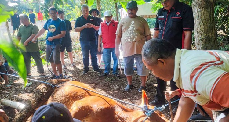 Gotong Royong Jadi Roh Kurban, DPC PDIP Kabupaten Blitar Tebar Semangat Bung Karno