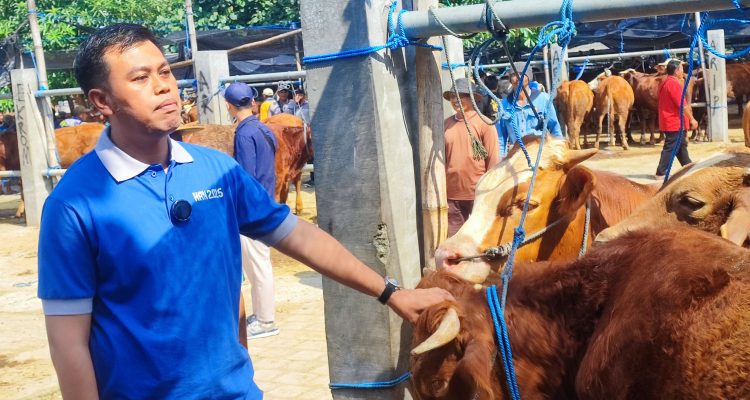 Mas Ibin Ajak Beli Hewan Kurban di Pasar Dimoro Kota Blitar: Saya Juga Beli Di Sini