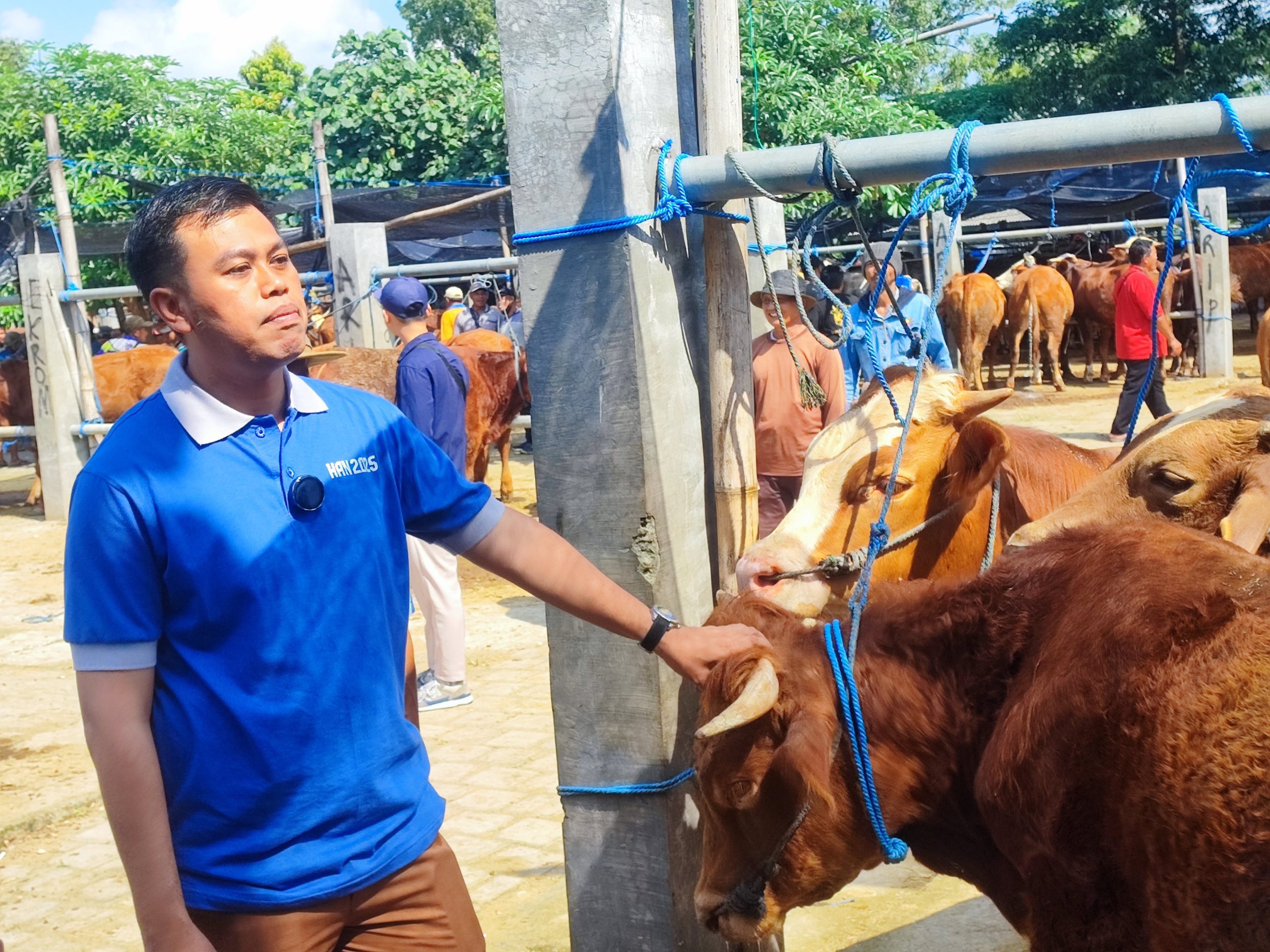 Mas Ibin Ajak Beli Hewan Kurban di Pasar Dimoro Kota Blitar: Saya Juga Beli Di Sini