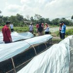 DKPP Kabupaten Blitar Bantu Petani Tembakau Tingkatkan Varietas Unggul untuk Tembus Pasar Premium melalui DBHCHT