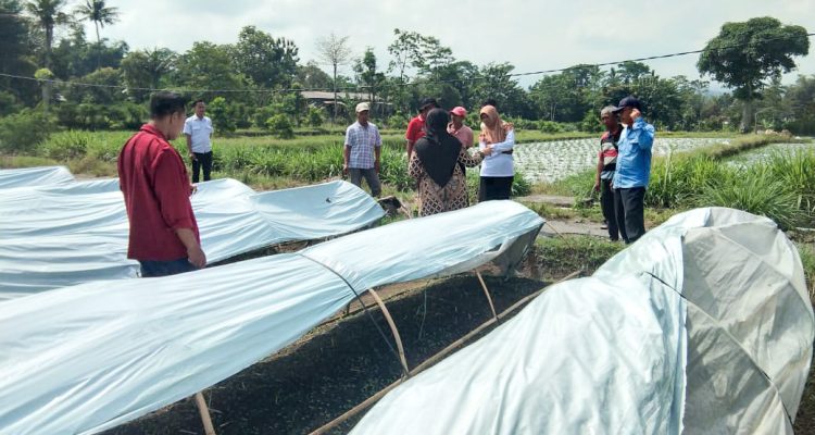 DKPP Kabupaten Blitar Bantu Petani Tembakau Tingkatkan Varietas Unggul untuk Tembus Pasar Premium melalui DBHCHT