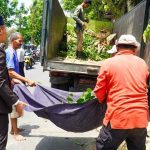 Mas Ibin Turun Langsung Bantu Petugas DLH, Angkat Kayu Sisa Tebangan ke Truk