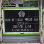 Dengan DBHCHT, DKPP Kabupaten Blitar Kembangkan Pertanian Adaptif dan Produktif: Off Season Farming Dipacu