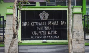 Kantor Dinas Pertanian dan Ketahanan Pangan Kabupaten Blitar Dengan DBHCHT, DKPP Kabupaten Blitar Kembangkan Pertanian Adaptif dan Produktif: Off Season Farming Dipacu