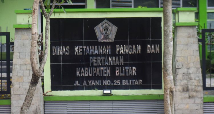 Dengan DBHCHT, DKPP Kabupaten Blitar Kembangkan Pertanian Adaptif dan Produktif: Off Season Farming Dipacu