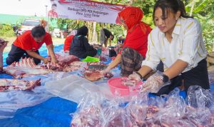 Idul Adha Jadi Momentum Kebersamaan, Pengurus DPC PDI Perjuangan Kabupaten Blitar Kompak Bagikan Daging Kurban