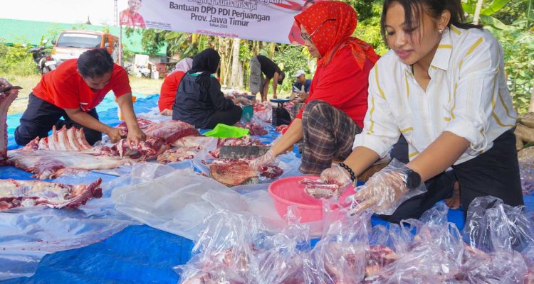 Idul Adha Jadi Momentum Kebersamaan, Pengurus DPC PDI Perjuangan Kabupaten Blitar Kompak Bagikan Daging Kurban