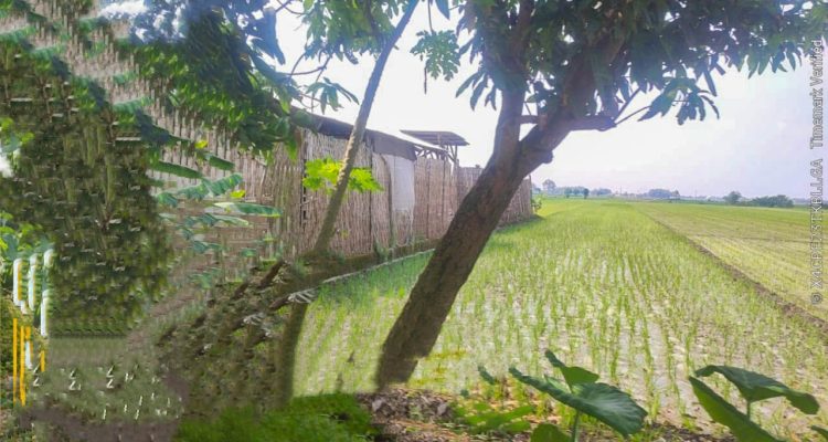 Warga Resah, Limbah B3 Diolah Ilegal di Kesamben Jombang