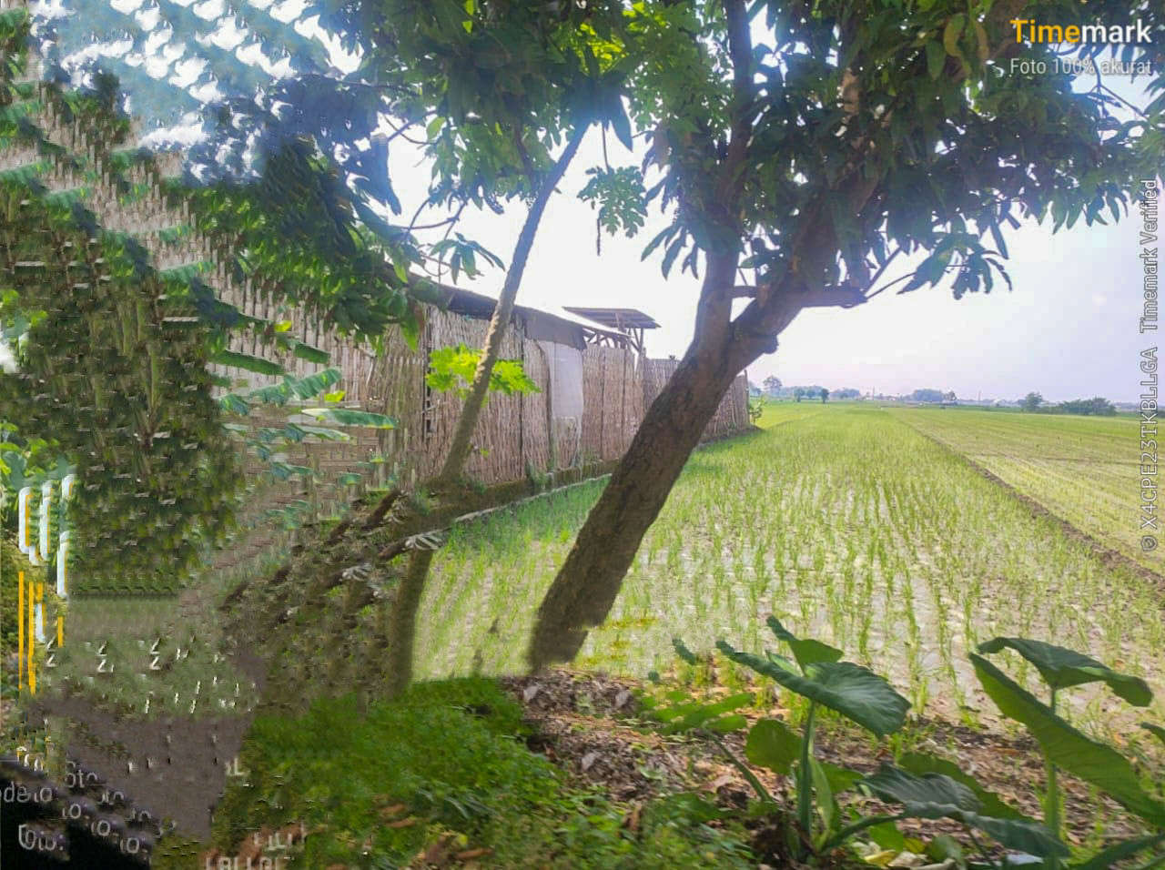 Warga Resah, Limbah B3 Diolah Ilegal di Kesamben Jombang