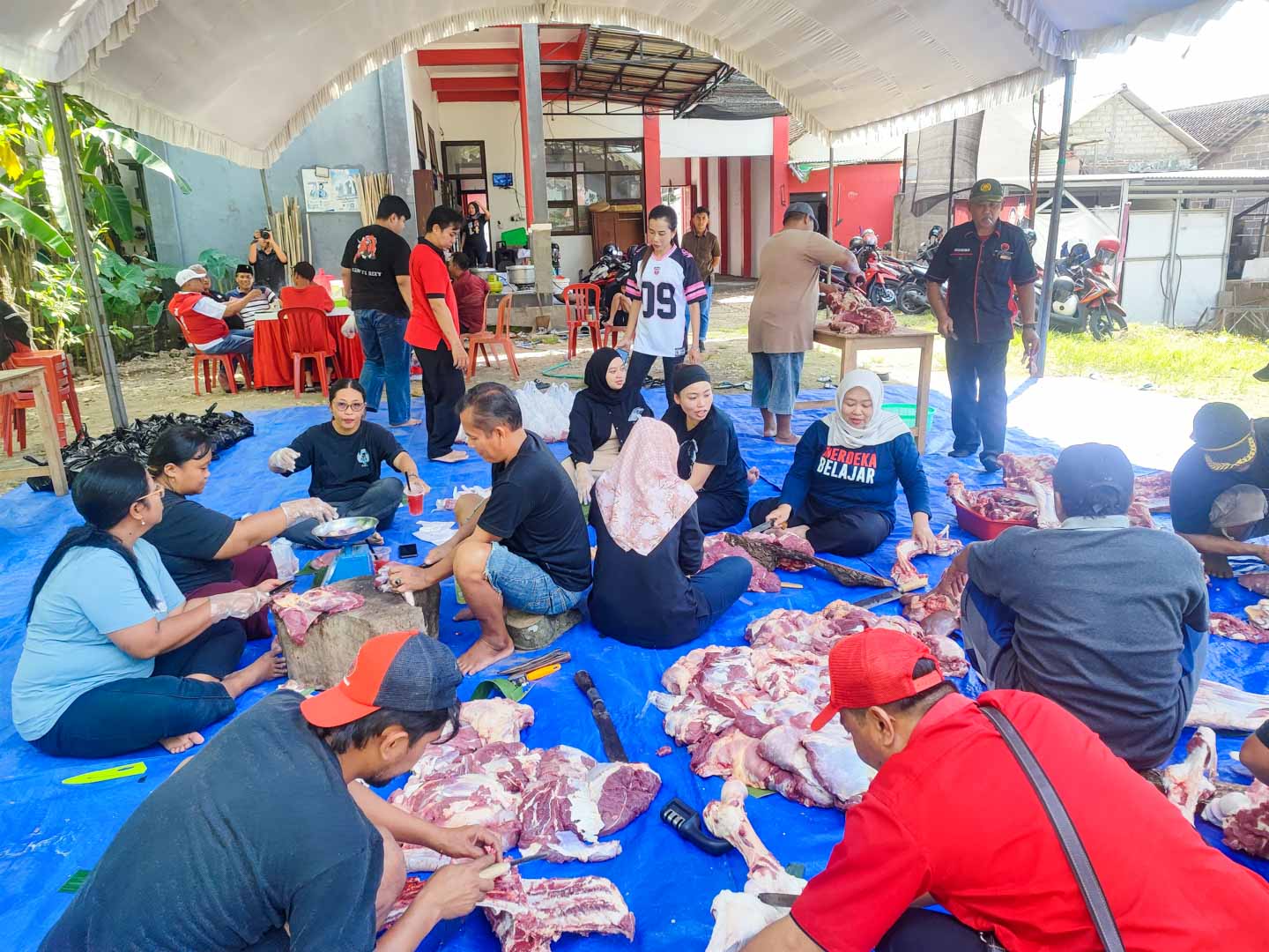 Gotong Royong Jadi Roh Kurban, DPC PDIP Kabupaten Blitar Tebar Semangat Bung Karno DPC PDIP Kabupaten Blitar saat gotong royong laksanakan kegiatan kurban idul adha 2025