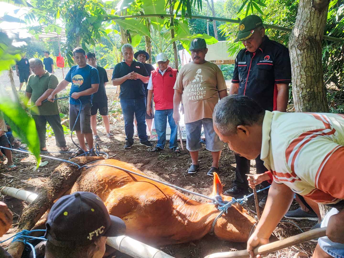 Gotong Royong Jadi Roh Kurban, DPC PDIP Kabupaten Blitar Tebar Semangat Bung Karno