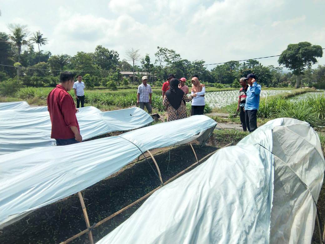 DKPP Kabupaten Blitar Bantu Petani Tembakau Tingkatkan Varietas Unggul untuk Tembus Pasar Premium melalui DBHCHT
