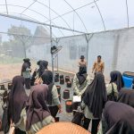 Manfaat DBHCHT Dirasakan Warga Kota Blitar, Pemkot Bekali KWT Teknologi Budidaya Cabai Modern