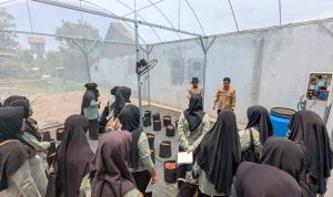 Manfaat DBHCHT Dirasakan Warga Kota Blitar, Pemkot Bekali KWT Teknologi Budidaya Cabai Modern
