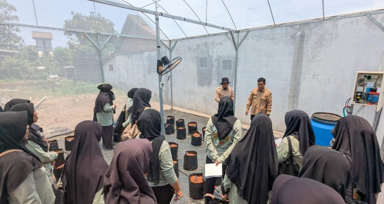 Manfaat DBHCHT Dirasakan Warga Kota Blitar, Pemkot Bekali KWT Teknologi Budidaya Cabai Modern